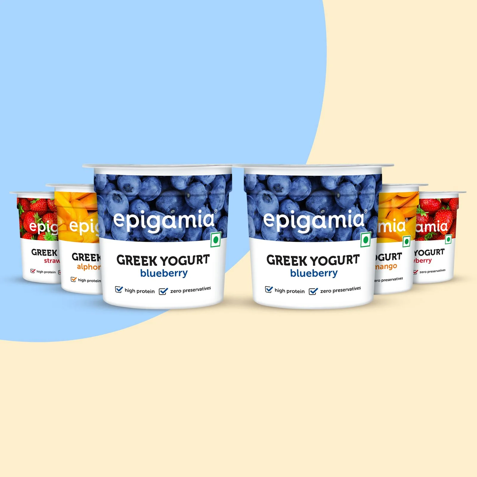greek yogurt, blueberry, strawberry, alphonso mango - pack of 6